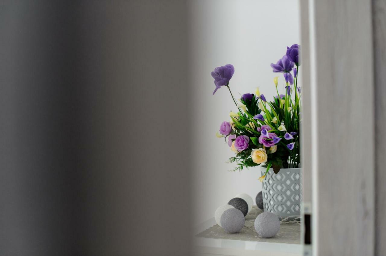 Apartament Przytulny Kielce Buitenkant foto